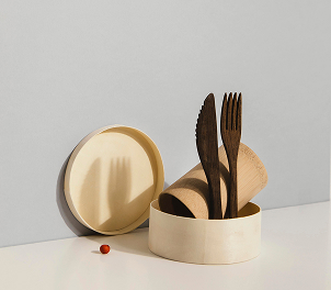 Electric Food Steamer